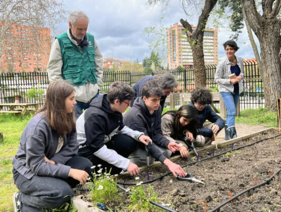 Huertos-Escolares_Sostenibles_Ayuntamiento_de_Madrid- Fundacion_Banco_de_Alimentos_de_Madrid