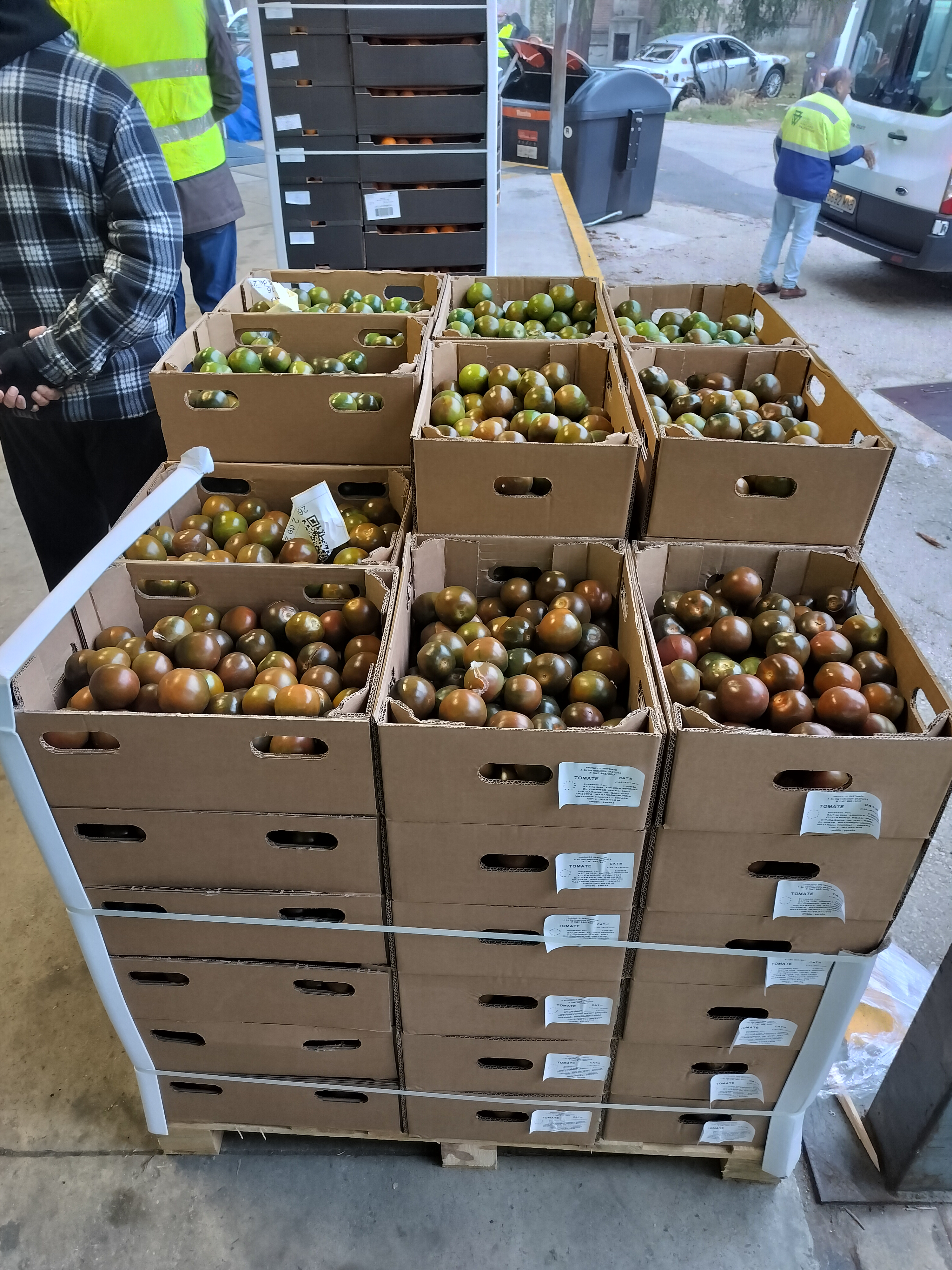EL BAM SIGUE DISTRIBUYENDO UNA CANTIDAD IMPORTANTE DE FRUTAS Y HORTALIZAS DE RETIRADA